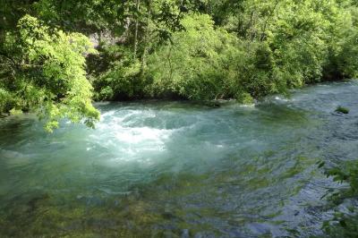 A river in the woods