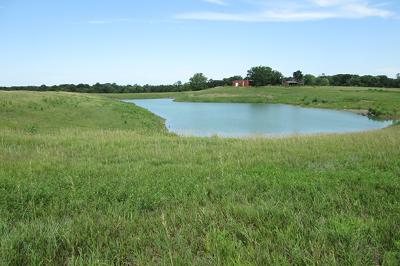 Grass and a pond